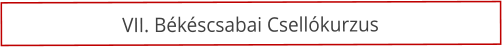 VII. B�k�scsabai Csell�kurzus