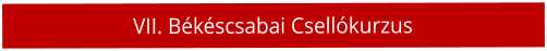 VII. B�k�scsabai Csell�kurzus
