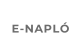 E-NAPL