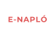 E-NAPL