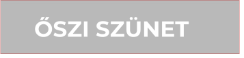 �SZI SZ�NET